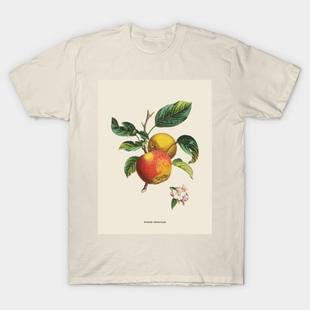 Apple Antique Botanical Illustration T-Shirt by Antiquated Art